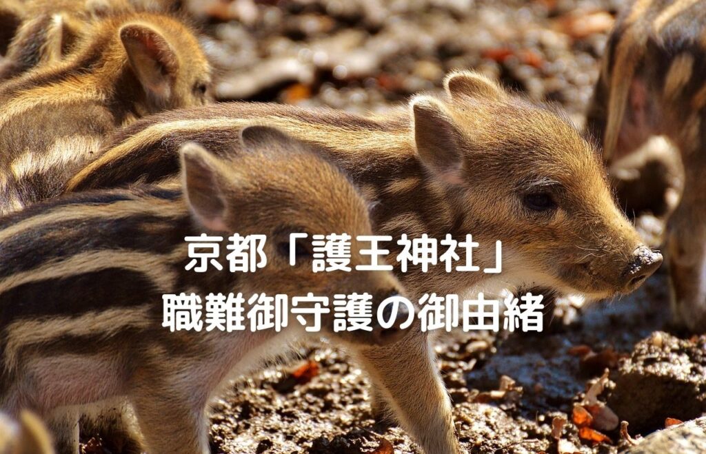 wild_boar