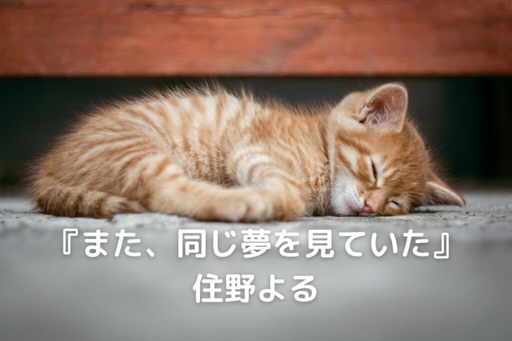 sleeping_cat