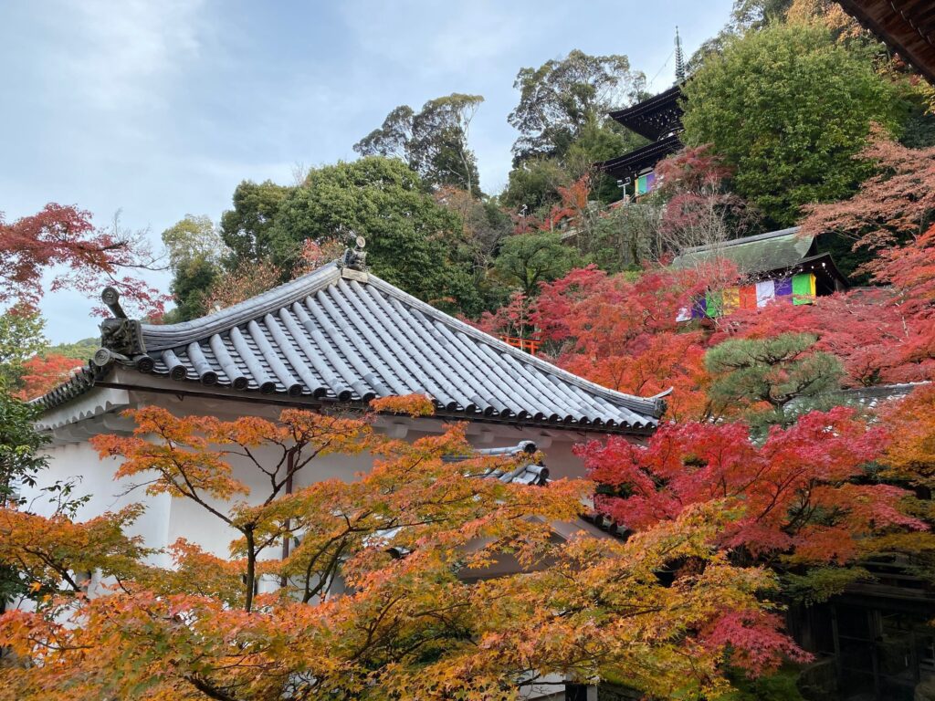 永観堂多宝塔を望む