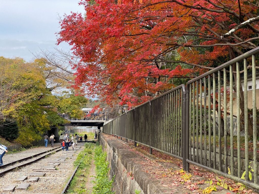 蹴上インクライン_紅葉